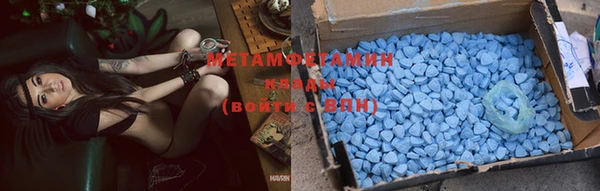 индика Алзамай