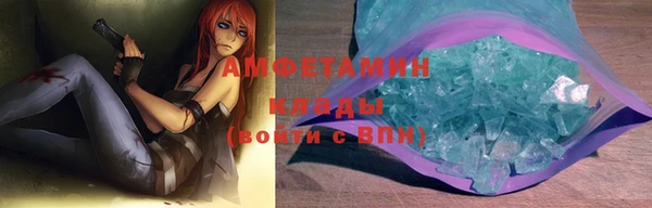 индика Алзамай