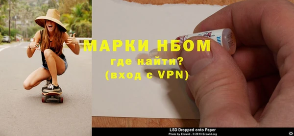 индика Алзамай