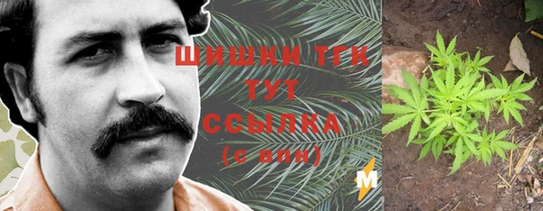 индика Алзамай
