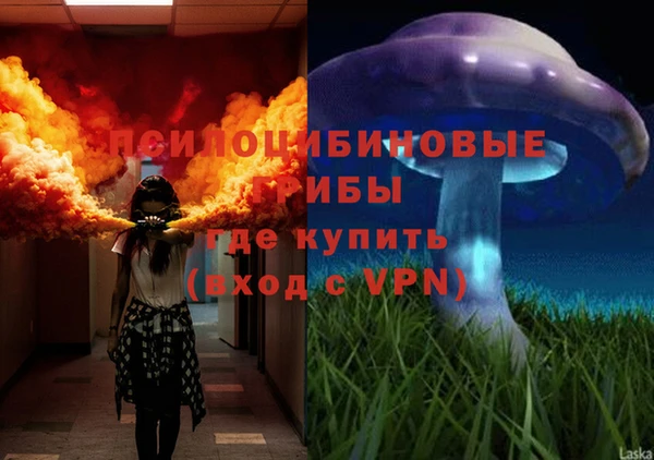 мет Алексин