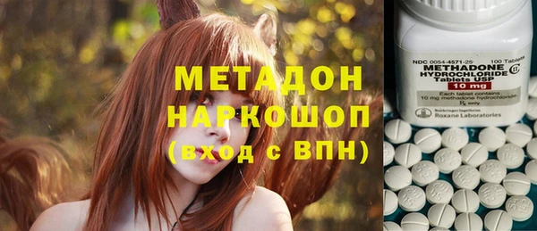 индика Алзамай