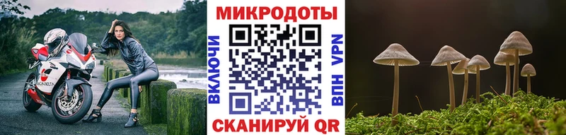 Псилоцибиновые грибы мухоморы  где купить наркоту  Ясный 